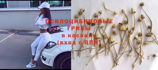 mdpv Бронницы