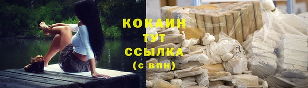 стафф Бородино