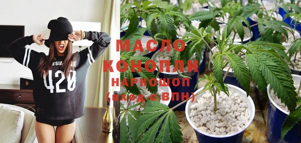 стафф Бородино