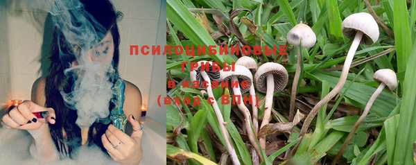 mdpv Бронницы